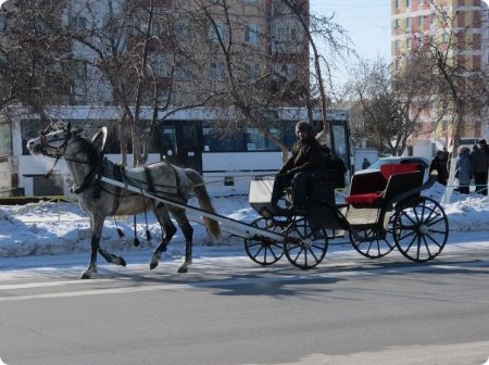 Рудный гуляет, холода провожает