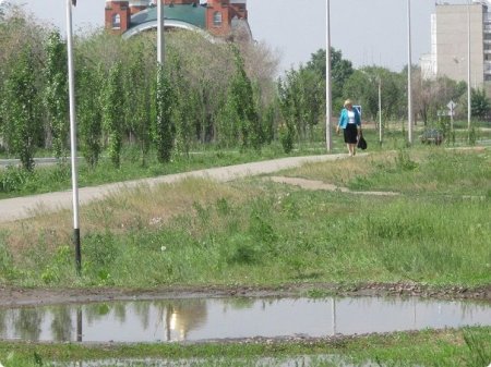 Петров, а не Иванов и не Сидоров