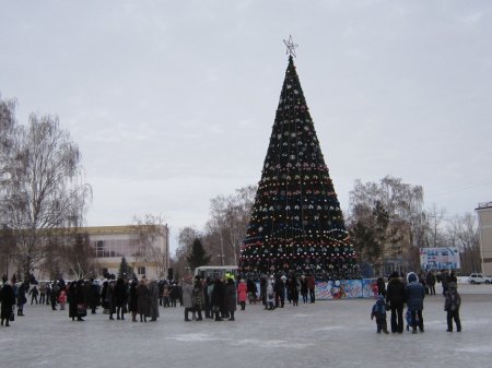 «Зажигаем» ёлку, портим праздник, закупаем алкоголь