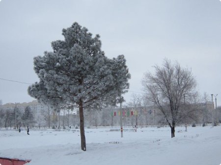 Весна началась с метели и красок добра