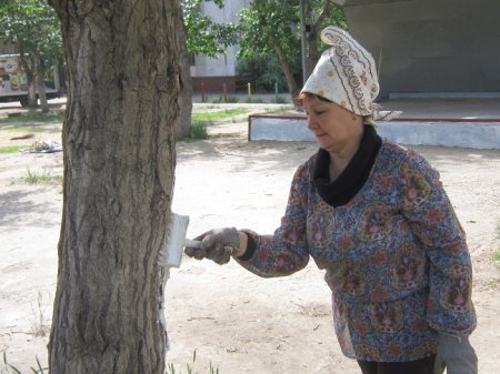 Евразия Стар раздаёт подарки!