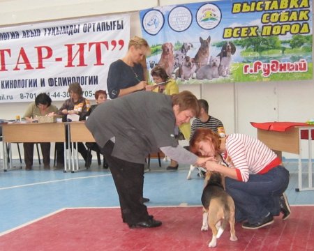 Приёмная дорога, экономная погода, кастинг хвостов