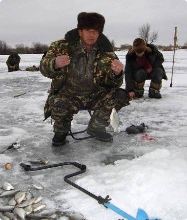 Ловись, рыбка, большая и малая