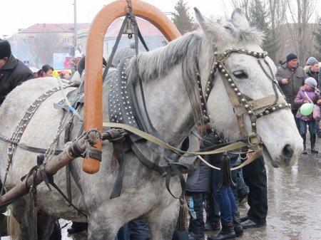 Праздник удался! Рудный встретил новый 2014 год