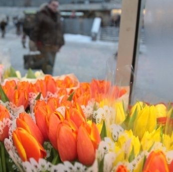 Тюльпан вам в руки и маску вне салона