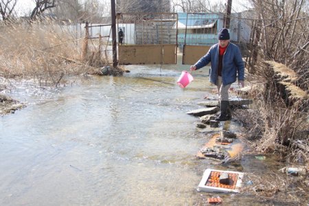 Пропуск большой воды продлится еще 10 дней, но чрезвычайных последствий уже не ждут