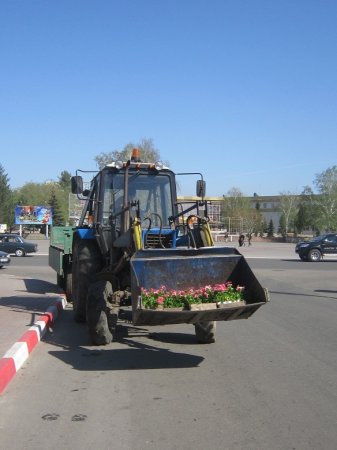 «Зебра», цветы, фонтаны