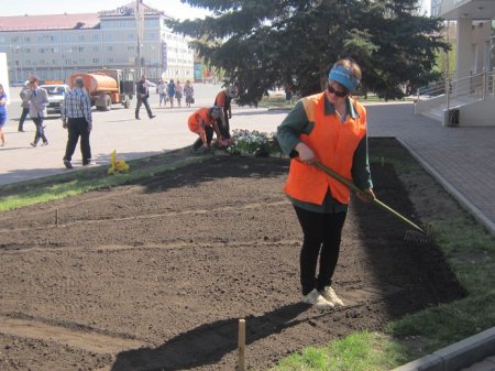 «Зебра», цветы, фонтаны