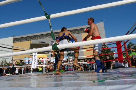 В Костанае в рамках «Дня молодежи» прошел фестиваль боевых искусств