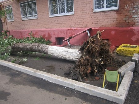 Грозовая напасть