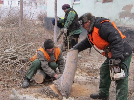 Зима против тополиного пуха