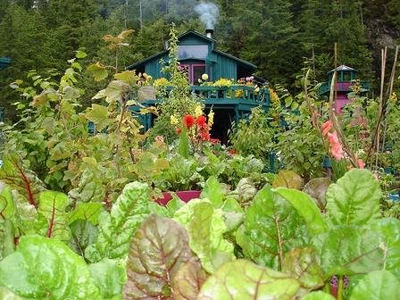 Супруги за 20 лет построили плавучий остров мечты (фото)