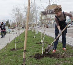 Принятые два года назад Правила благоустройства утратили силу в Костанае