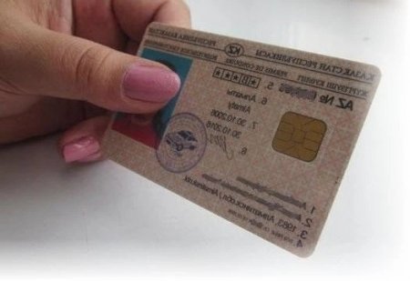 Где и за сколько можно купить водительские права в Казахстане