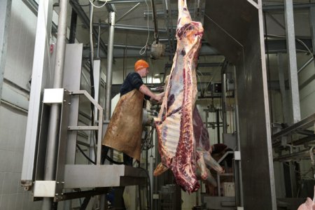 В Костанайской области перекупщики берут говядину и свинину по цене ниже себестоимости