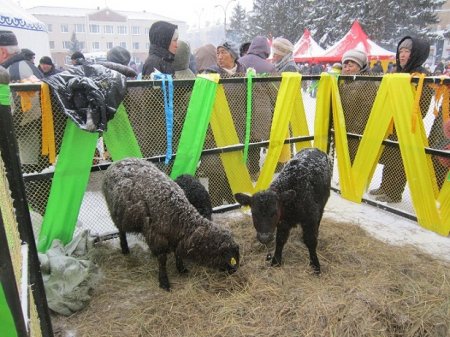 Наурыз: и снег, и солнце