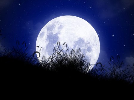 «Цветочная» Луна