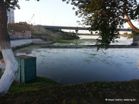 Экологи назвали причины цветения воды в Тоболе - отсутствие денег на очистку реки и реконструкция Большого моста