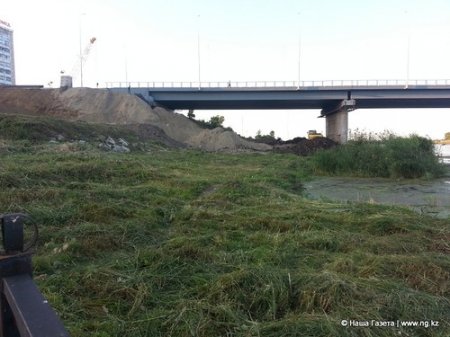 Экологи назвали причины цветения воды в Тоболе - отсутствие денег на очистку реки и реконструкция Большого моста