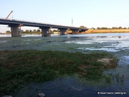 Экологи назвали причины цветения воды в Тоболе - отсутствие денег на очистку реки и реконструкция Большого моста