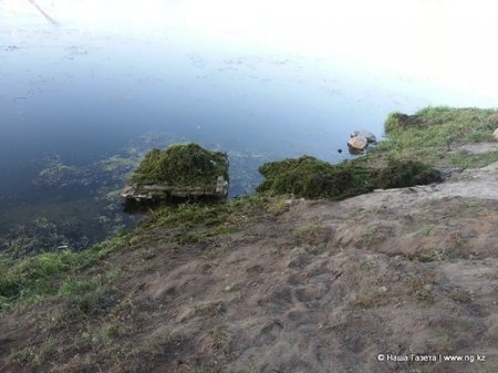 Экологи назвали причины цветения воды в Тоболе - отсутствие денег на очистку реки и реконструкция Большого моста