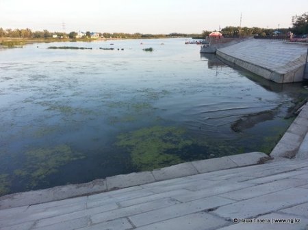 Экологи назвали причины цветения воды в Тоболе - отсутствие денег на очистку реки и реконструкция Большого моста