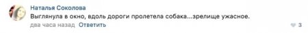 Очевидцы: Из-за страшного урагана по улицам Тараза летали собаки (фото)