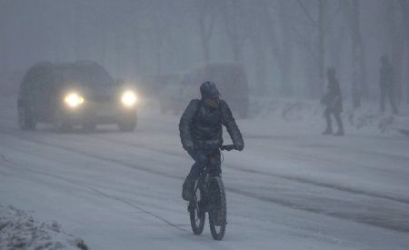 Четырехколесный друг семьи