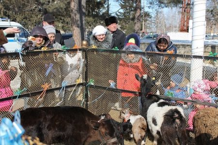 Солнце. Наурыз. Весна