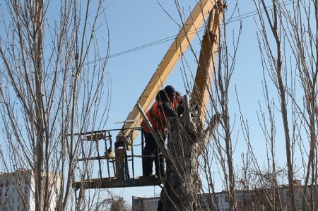 Для красоты улиц города