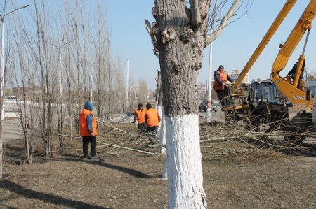 Для красоты улиц города