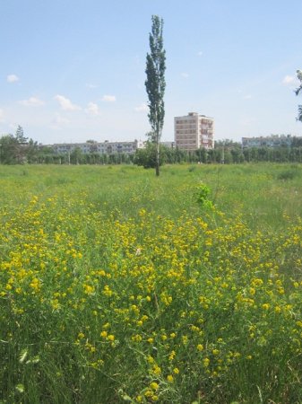 Земля под бизнес