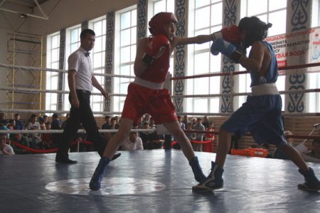 Призерами юношеского чемпионата РК по боксу стали четверо представителей Костанайской области
