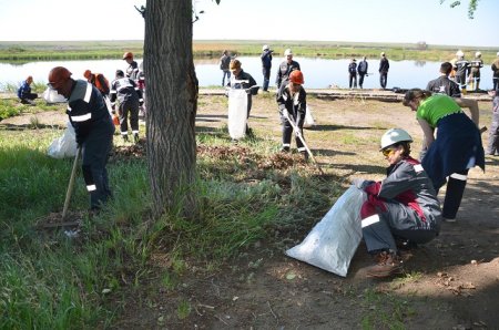 Старому пляжу – новую жизнь