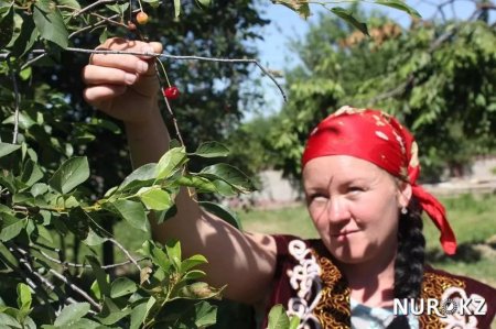 В ЮКО русская келин читает Коран и соблюдает все казахские традиции (фото)