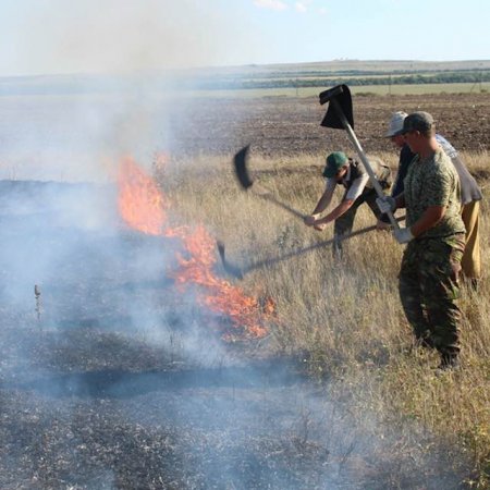 В Костанайской области за два дня ликвидировали степные пожары на 67 c лишним гектарах