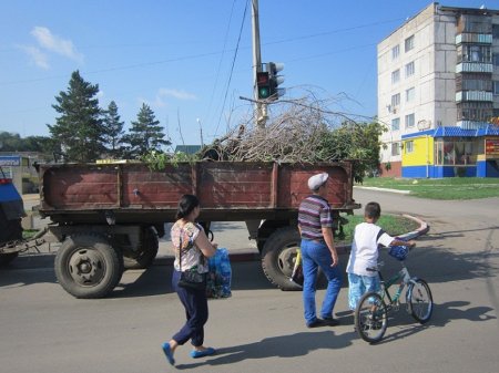 Санитарная осень