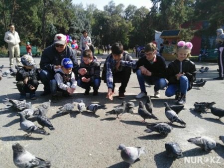 Супруги из Алматы за несколько месяцев стали многодетными родителями (фото)