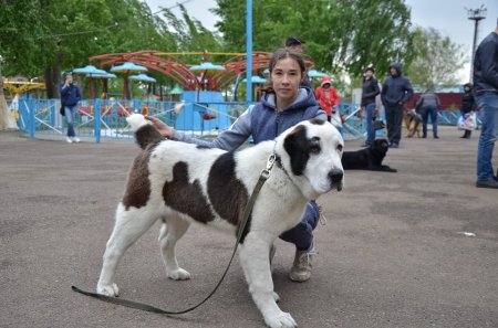 Плюшевый праздник