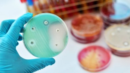 Супербактерии не боятся антибиотиков. Как отвести угрозу человечеству?