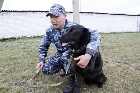 240 преступлений помогли раскрыть кинологи с полицейскими собаками с начала 2019 года в Костанайской области