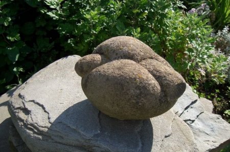 Камни-трованты, способные размножаться и передвигаться, нашли в Казахстане