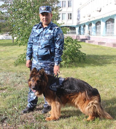 Украденный бордюр нашли кинолог с полицейской собакой в Костанайской области