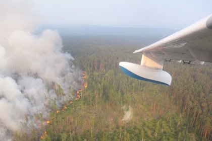 Лесные пожары в Сибири начали тушить с воздуха