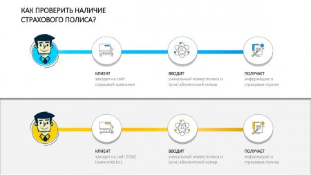 Страховой полис оформлен, но полиция его в базе не видит. Что делать?